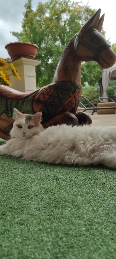 Pettorano sul Gizio "Il Miglio" Country House מראה חיצוני תמונה