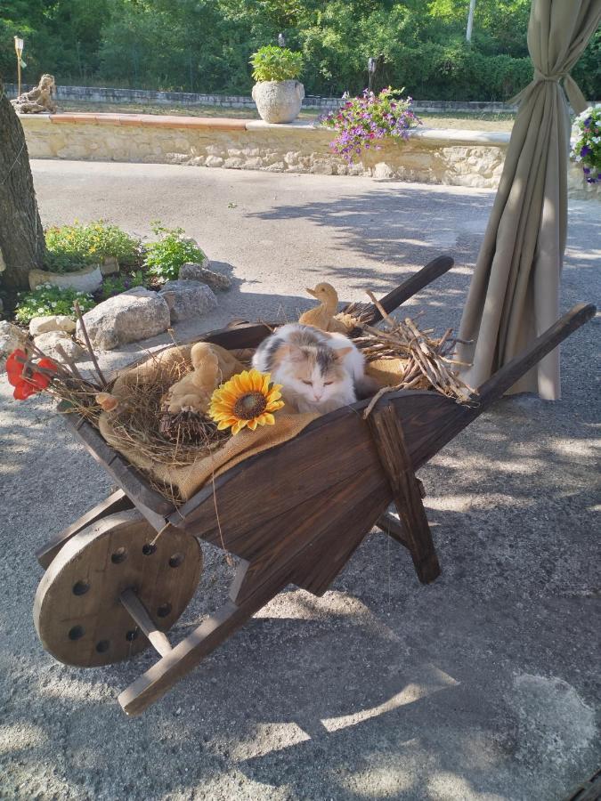Pettorano sul Gizio "Il Miglio" Country House מראה חיצוני תמונה